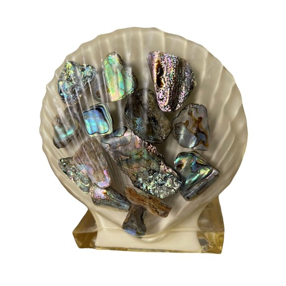 VTG RESIN ABALONE SEA SHELL NAPKIN HOLDER OR LETTER HOLDER WONDERMOLD IND., INC - Picture 10 of 12